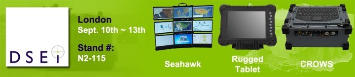 DSEI 2013